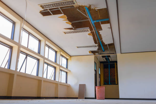 Best Professional water damage repair  in West Burlington, IA