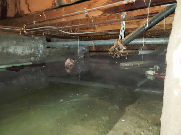 Best Water damage restoration near me  in West Burlington, IA