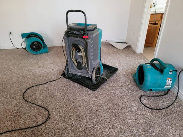 Best Residential water damage restoration  in West Burlington, IA