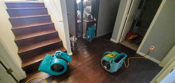 Best Water damage cleanup near me  in West Burlington, IA