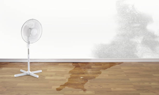 Water damage restoration mold remediation in West Burlington, IA