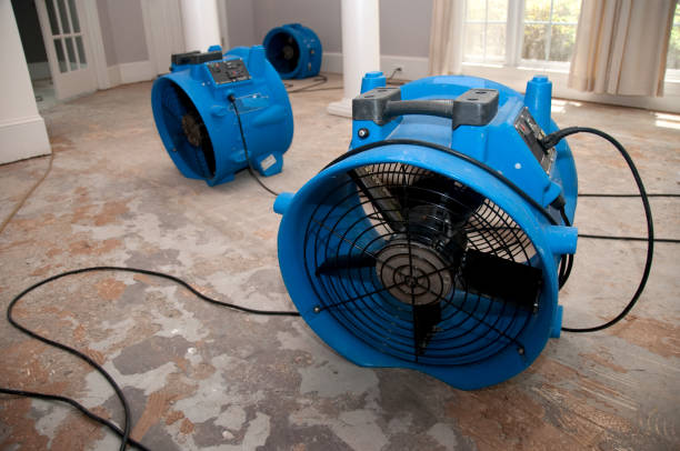 Best Water damage restoration mold remediation  in West Burlington, IA