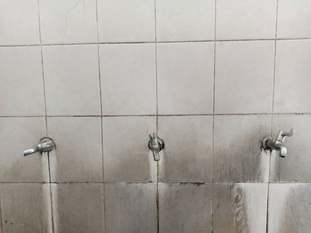 Best Water damage restoration near me  in West Burlington, IA