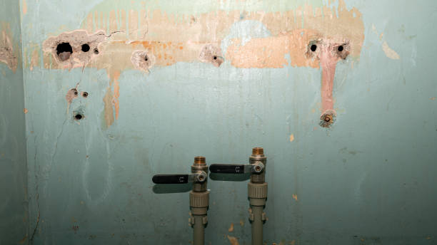  West Burlington, IA Water damage restoration Pros