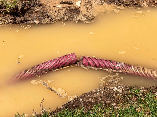 Best 24/7 water damage repair  in West Burlington, IA