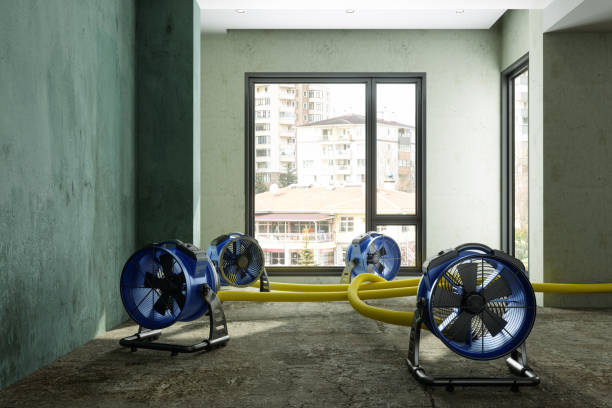 Best Carpet water damage restoration  in West Burlington, IA